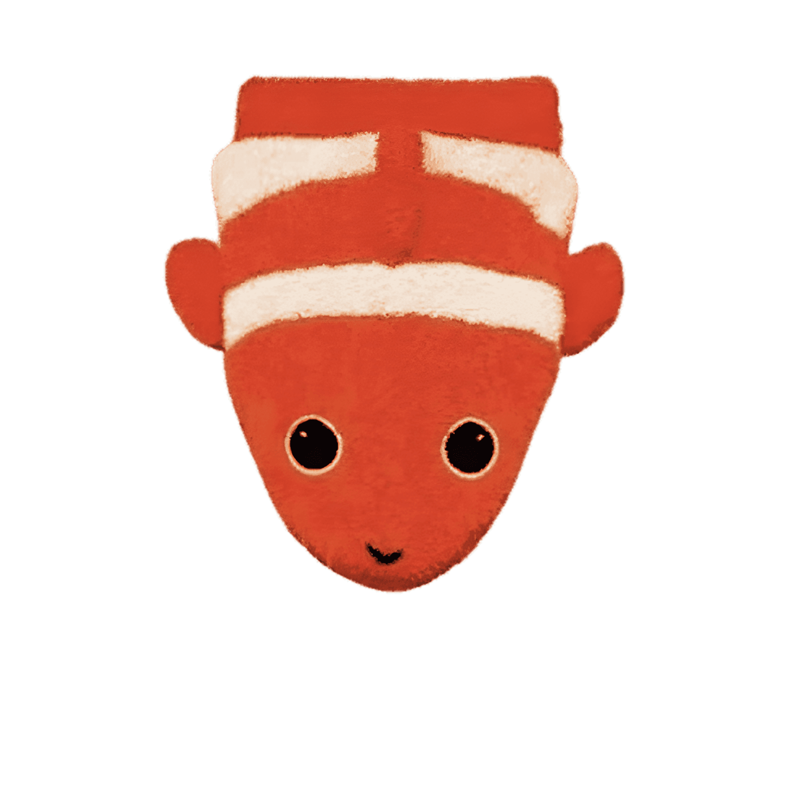 Bio Waschlappen – Clownfisch