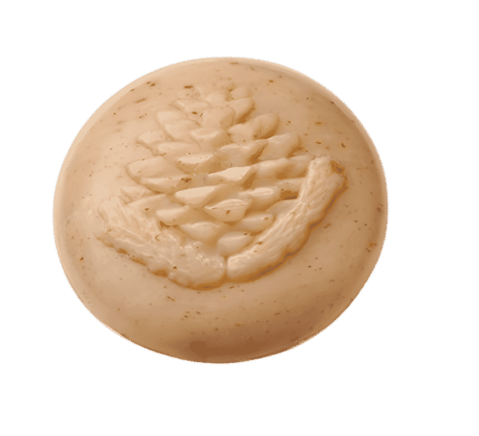 Seife mit Schafmilch und Zirbe – natur – Ovis 110 g