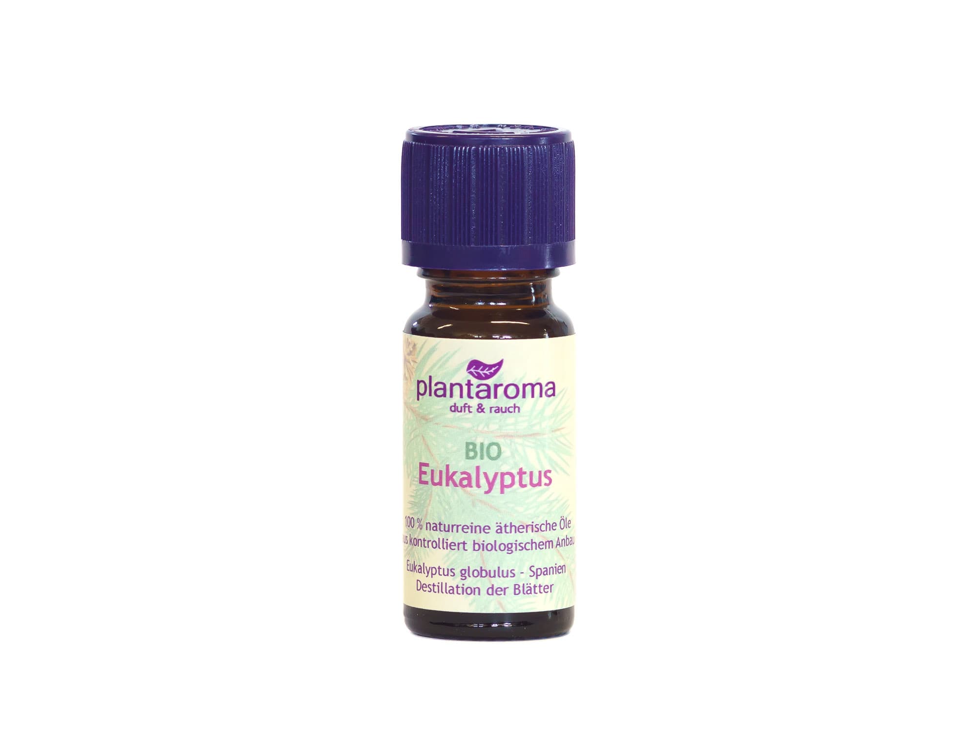 Bio ätherisches Eukalyptusöl – 10 ml