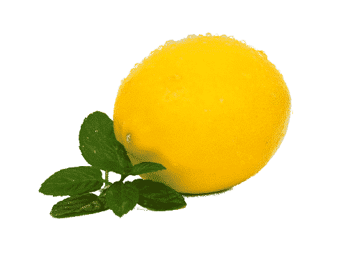 Festes Shampoo Lemon - Mint