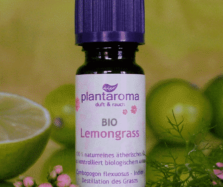 Ätherisches Öl - Bio Lemongras - 100% Naturrein - 10 ml