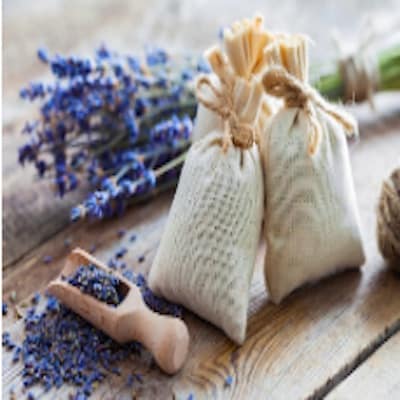 Lavendel Zuhause