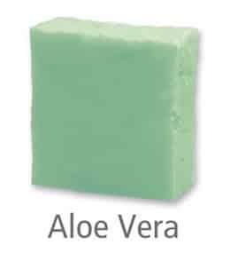 Aloe Vera Reinigung