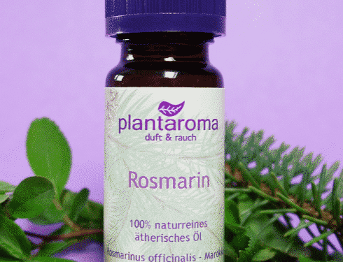 Ätherisches Rosmarinöl - 100% Naturrein - 10 ml