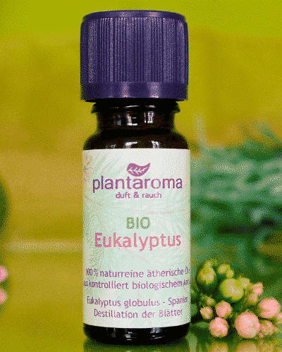 Bio ätherisches Eukalyptusöl - 100% Naturrein - 10 ml