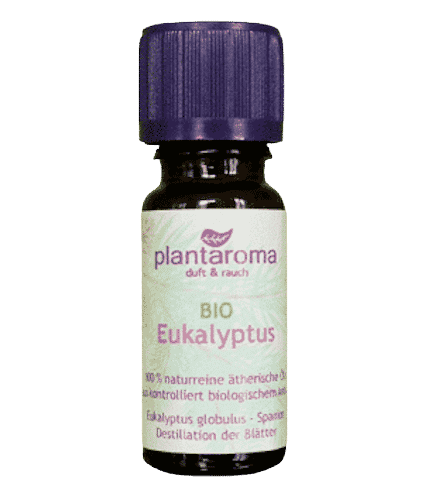 Bio ätherisches Eukalyptusöl