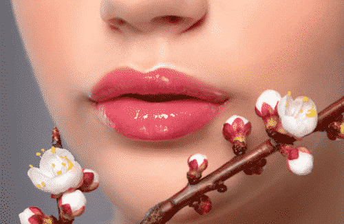 Pflanzliche Lippenpflege mit Kaffeeöl - Bild 3