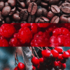 Pflanzliches Gesichts - Serum mit Kaffeeöl - Bild 4
