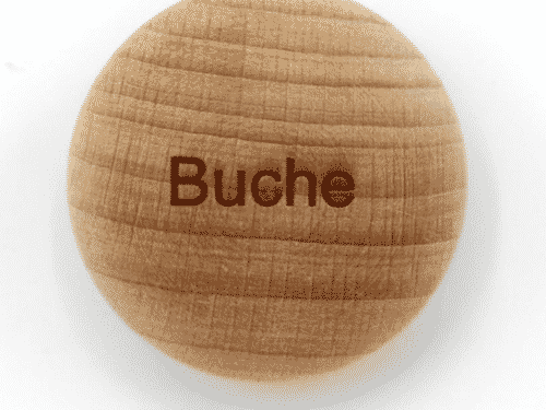 Handschmeichler Buche - Lieblingsbaum - Baumstark Initiative - Geschenk aus Holz