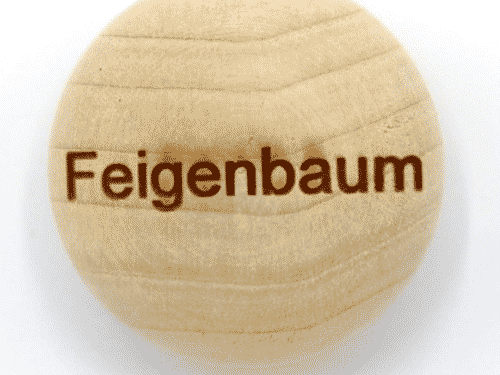 Handschmeichler Feigenbaum - Lieblingsbaum - Baumstark Initiative - Geschenk aus Holz