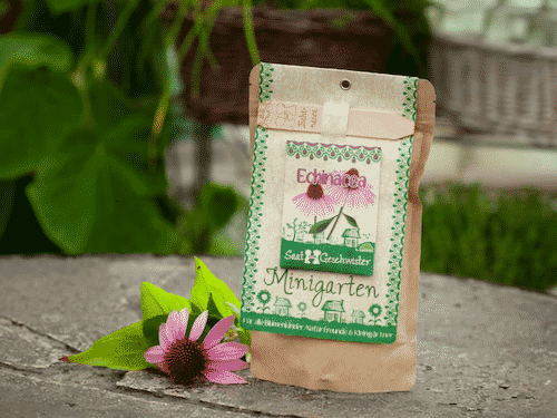 Minigarten Echinacea - Die Stadtgärtner