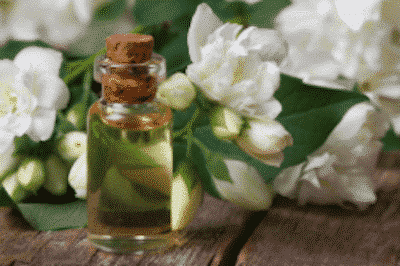 Jasmin