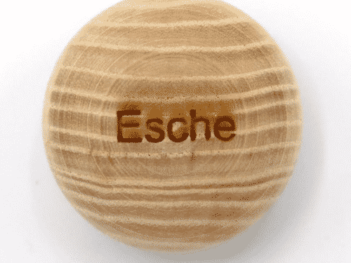 Handschmeichler Esche - Lieblingsbaum - Baumstark Initiative
