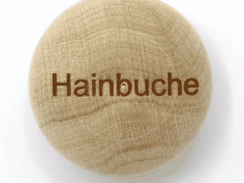 Handschmeichler Hainbuche - Lieblingsbaum - Baumstark Initiative