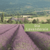 Lavanderaie