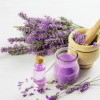 Lavendel