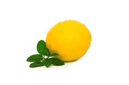 Zitrone 2