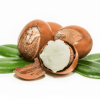 Shea Butter
