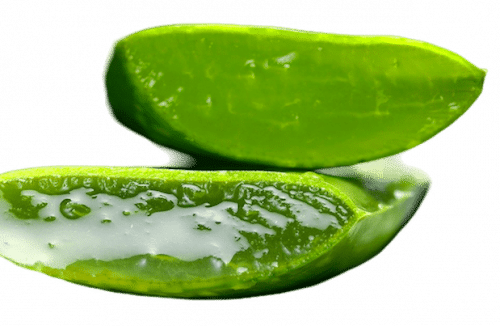 ayurvedische-pflege-handcreme-seife-kewra-koerpercreme-holy-lama